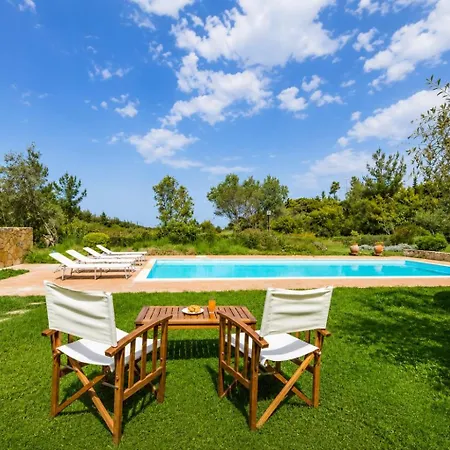 Iconic Olea With Pool & * Pefkochori