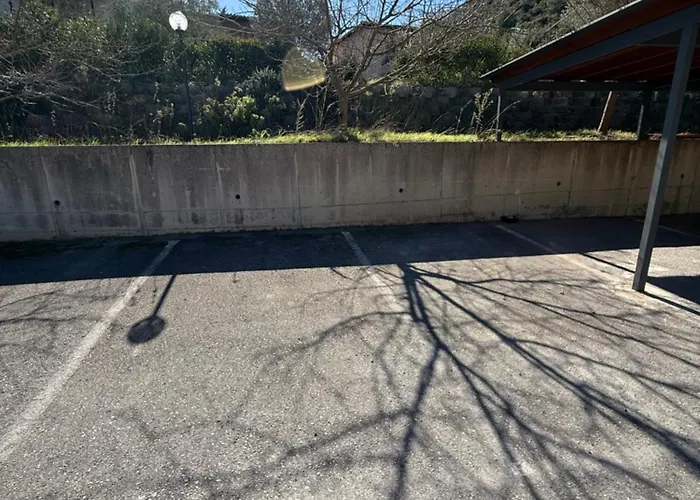 Iconic Olea With Pool &